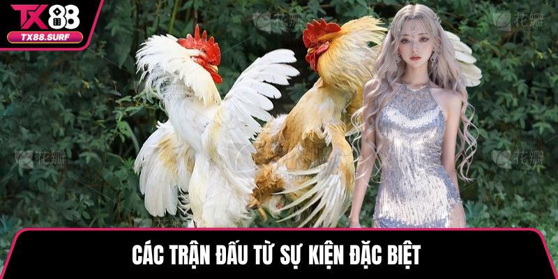 Các trận đấu từ sự kiện đặc biệt 