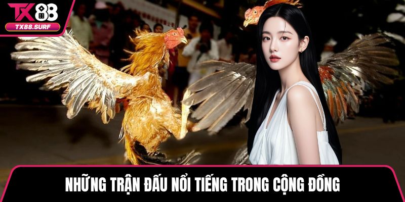 Những trận đấu nổi tiếng trong cộng đồng
