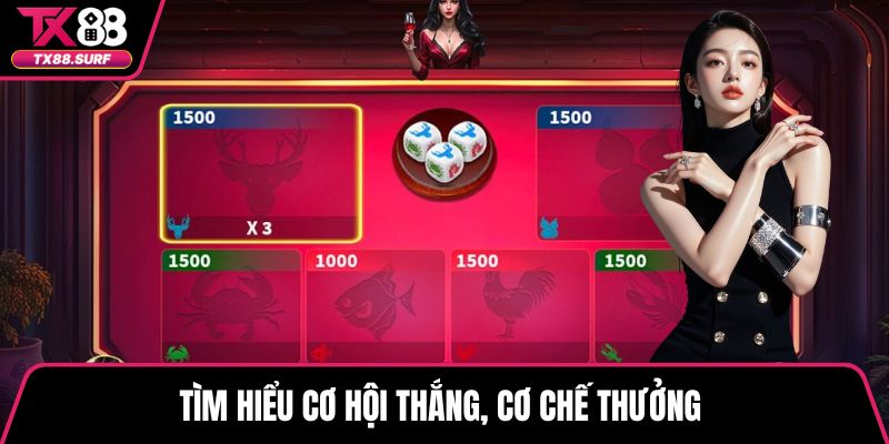 Tìm hiểu cơ hội thắng, cơ chế thưởng